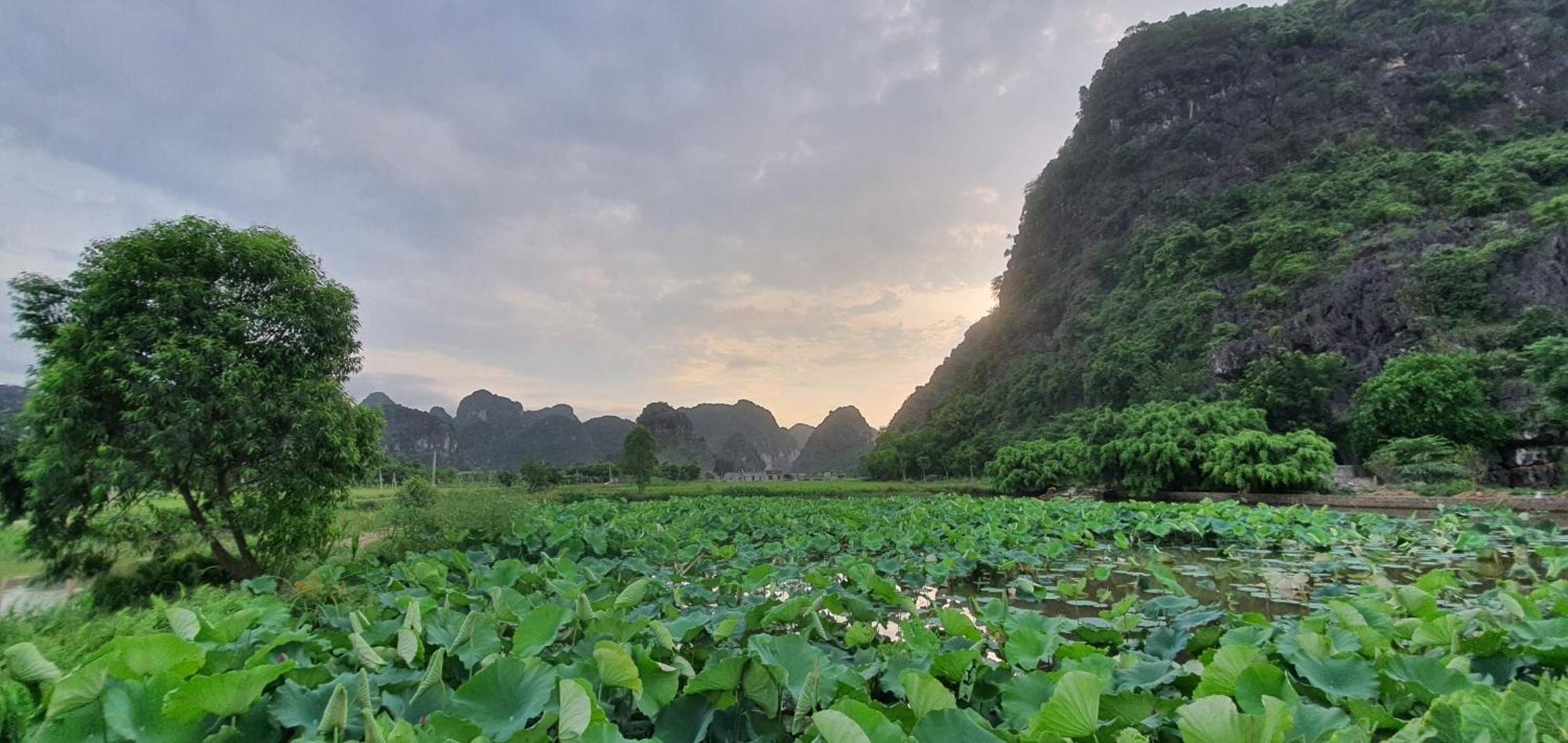 Trang An Rice Field Homestay Ninh Binh Exterior foto