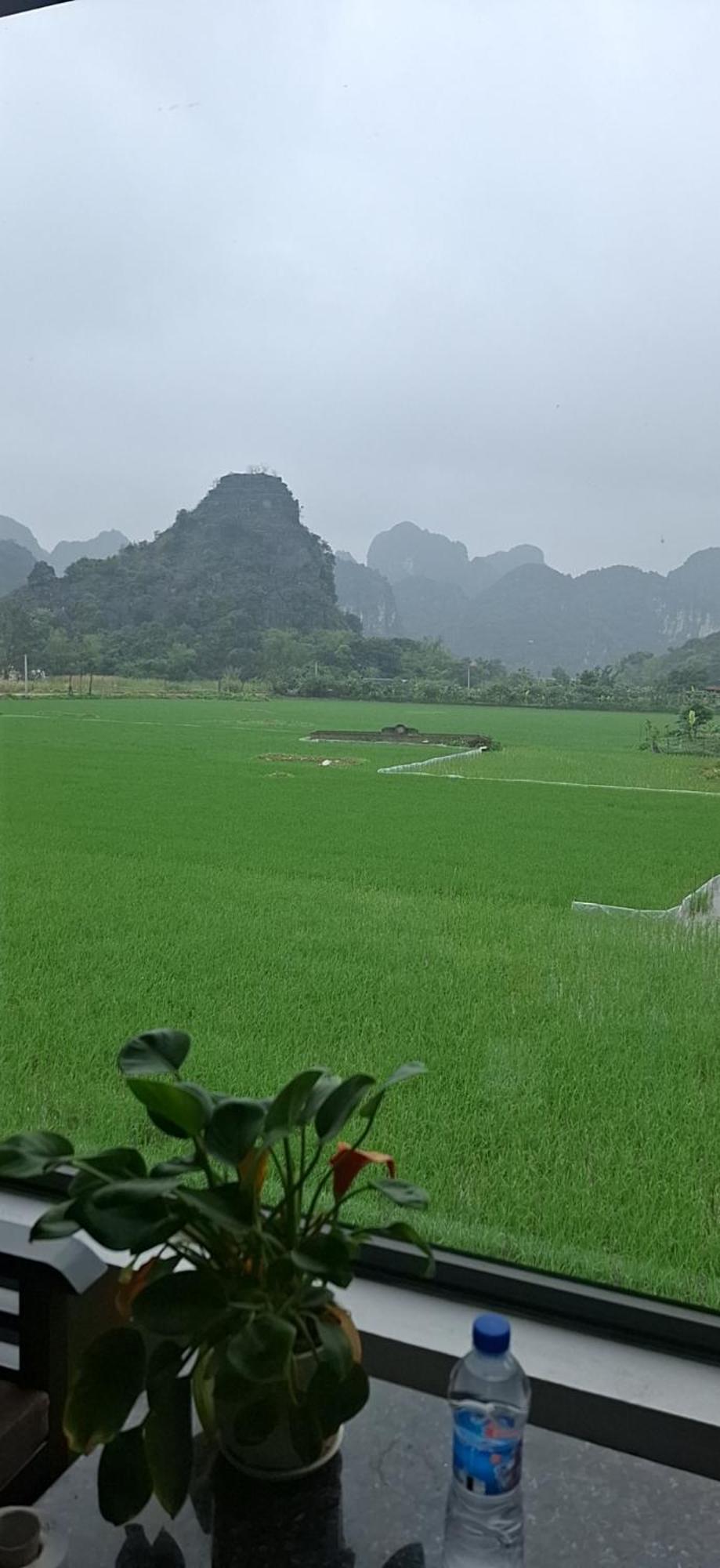 Trang An Rice Field Homestay Ninh Binh Exterior foto